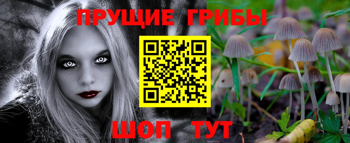 Галлюциногенные грибы прущие грибы  Вход с VPN  Борисоглебск 